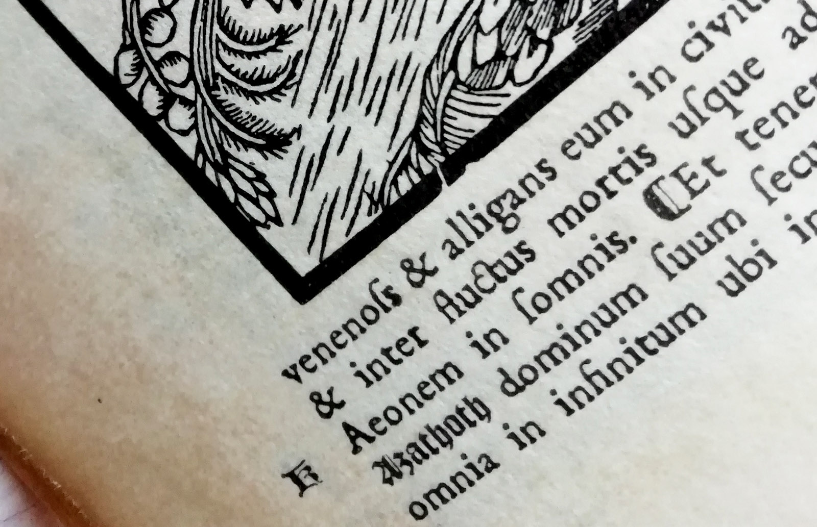 placeholder image-sq